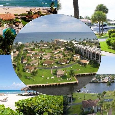 Royal Flamingo Villas Hillsboro Beach Bagian luar foto